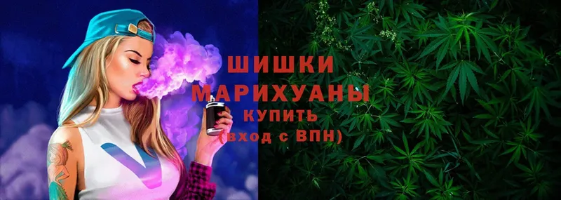 купить наркотики цена  сайты даркнета телеграм  Бошки марихуана THC 21%  Багратионовск 